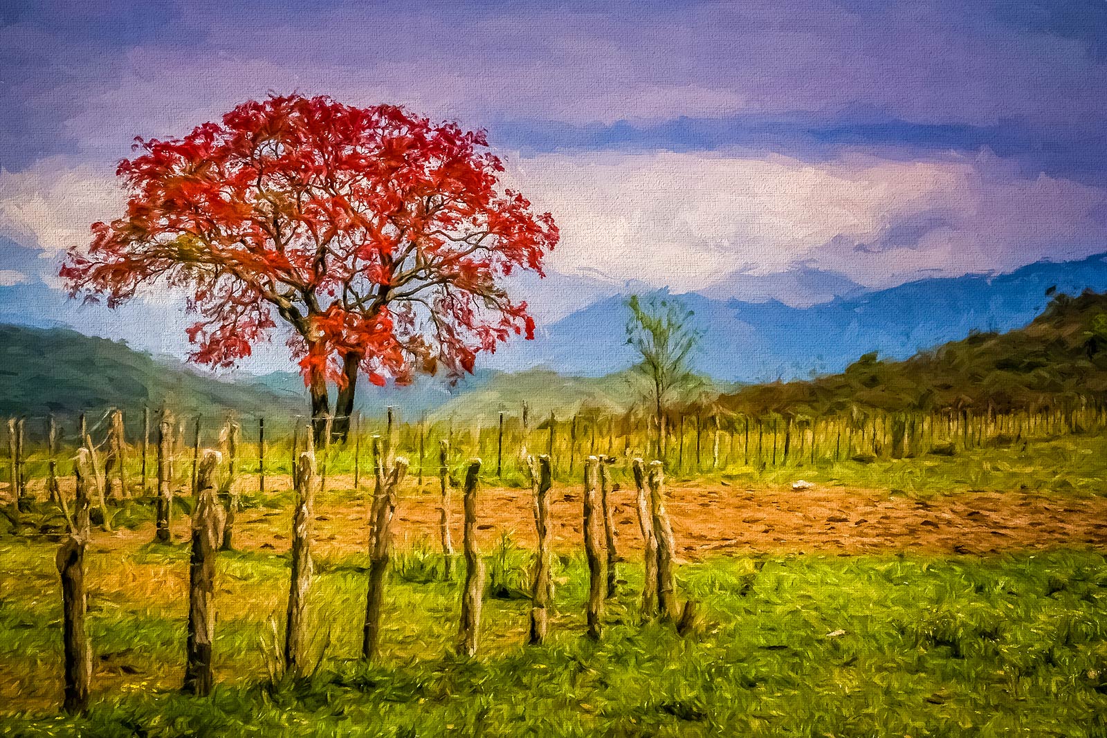 Red Tree and Autumn Landscape